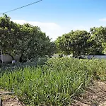 Vivenda Ribeiro - B Holiday home *