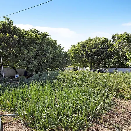 Vivenda Ribeiro - B Dom wakacyjny Lagos