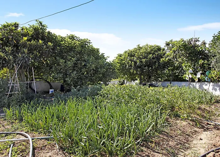 Vivenda Ribeiro - B Сasa de vacaciones Lagos